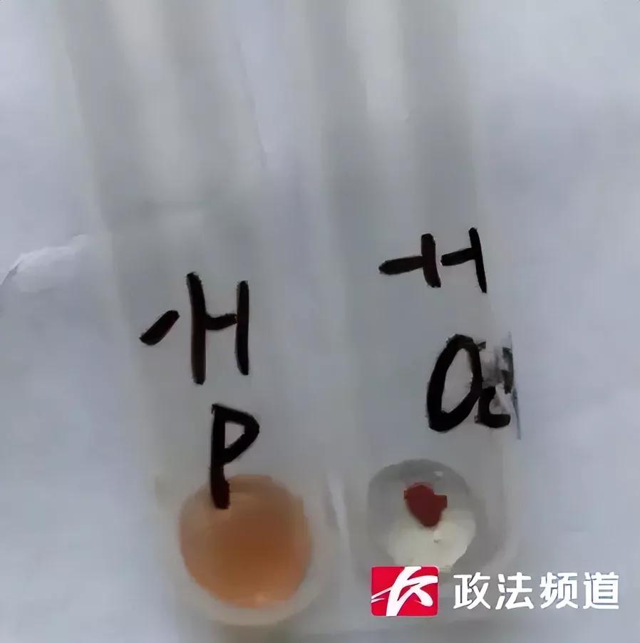 熊猫血和恐龙血是什么血型,最新稀有血型恐龙血