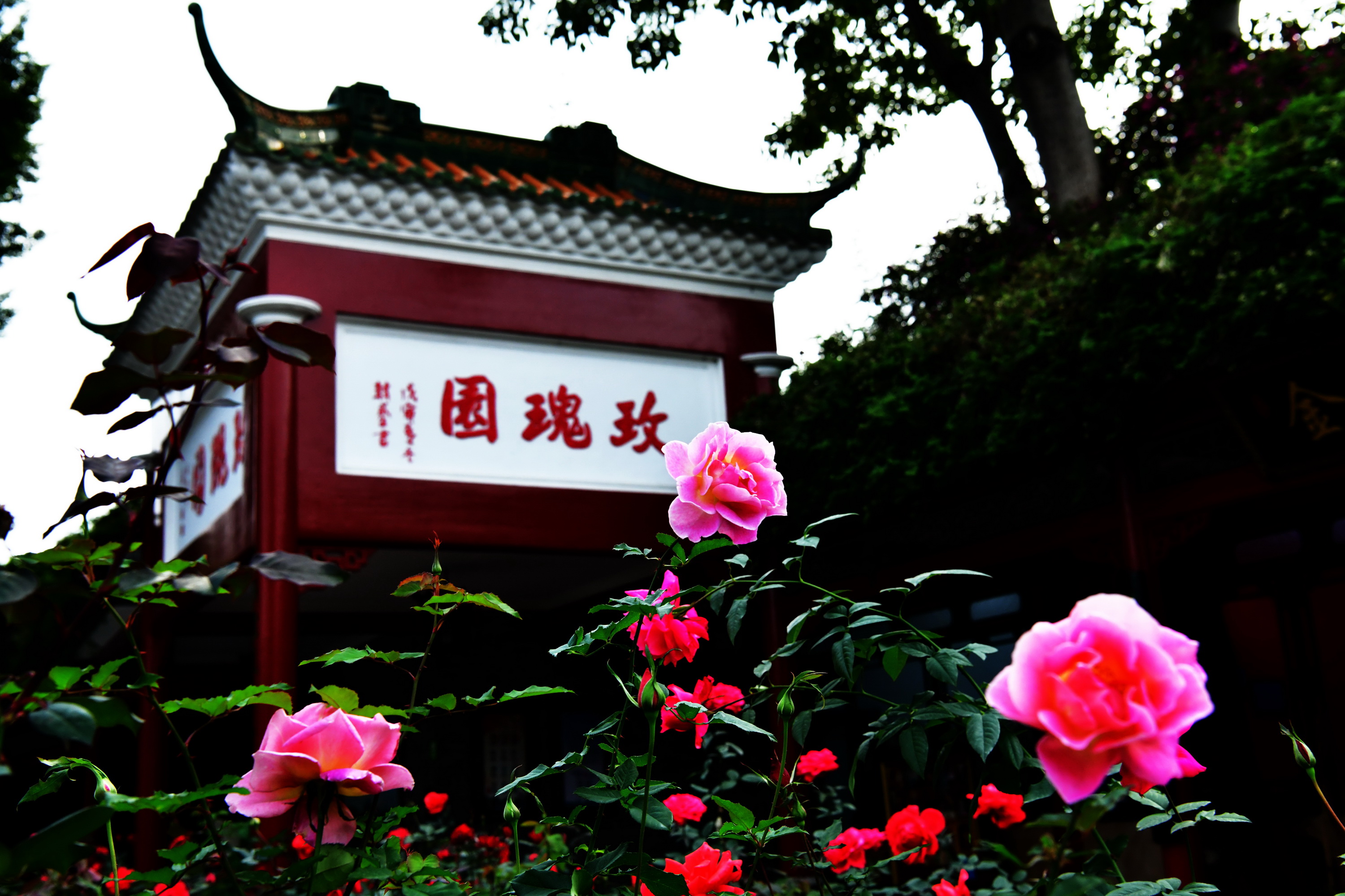 广州市番禺区宝墨园攻略,广州宝墨园景观