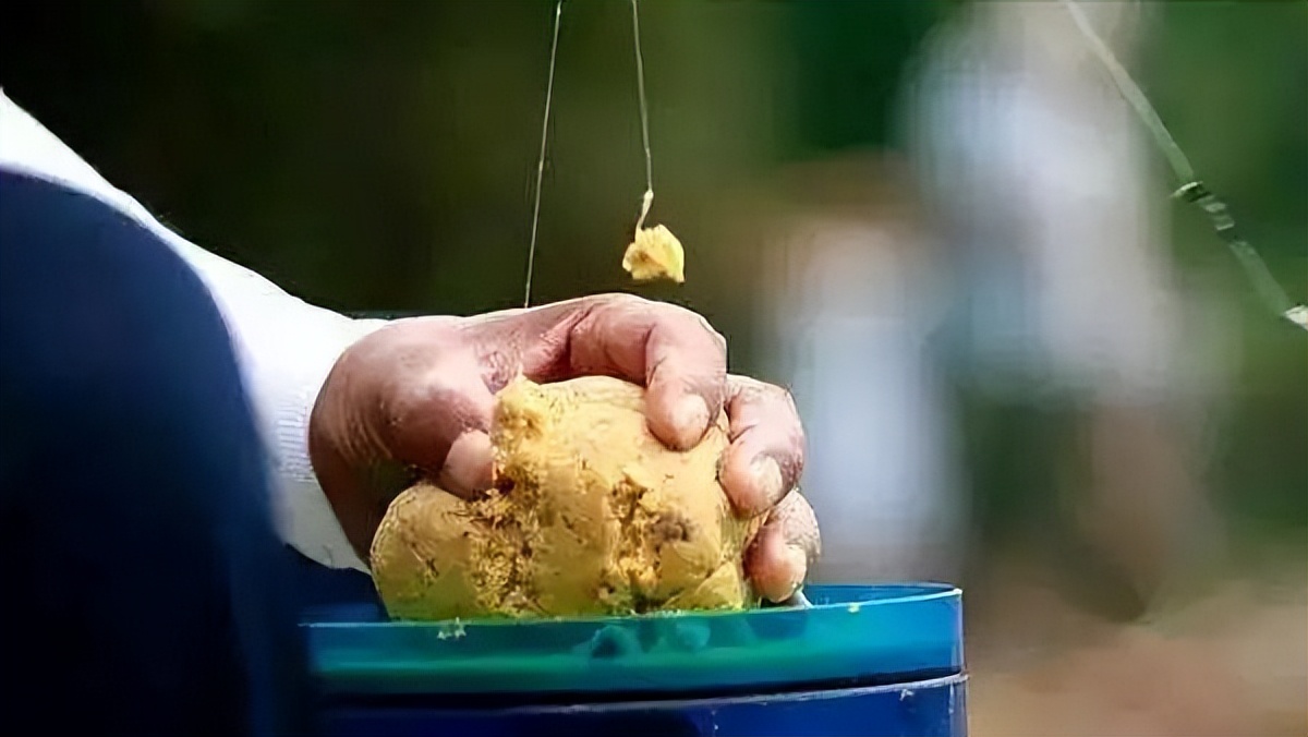 蓝鲫x5拉饵怎么开出来才饱满,大福寿和九一八怎样开的拉饵饱满