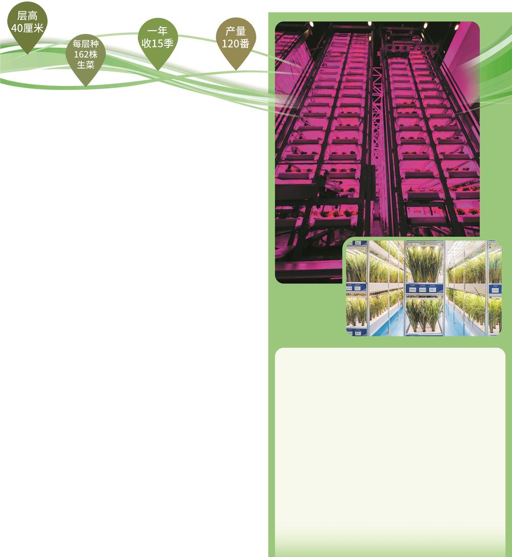 中国成都建成首座无人化植物工厂,走进全球首座无人化垂直植物工厂