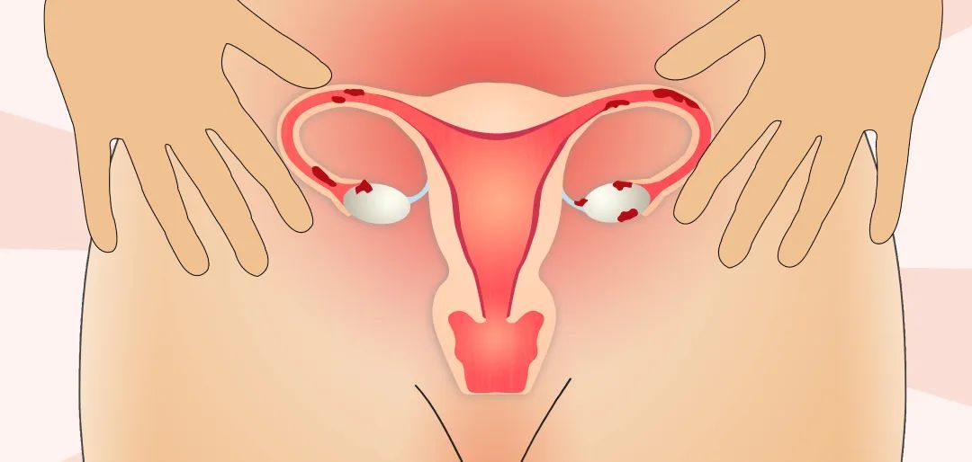 梁晓燕：科学辅助生殖，不如卵子年轻有生育力