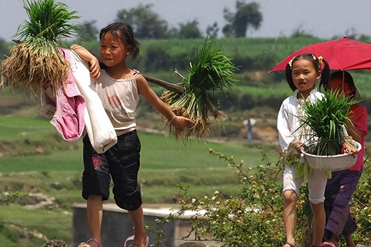 穷人不该生娃是哪个高材生说的,女大学生说穷人不该生娃