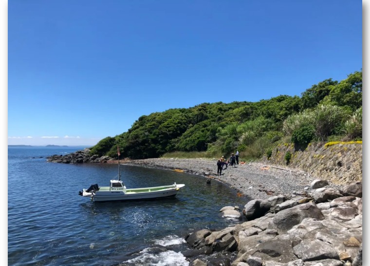 买下日本小岛的女子现在怎么样了,中国女孩买下日本一小岛