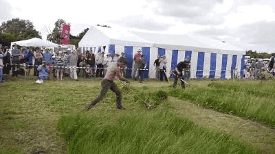 神奇宝贝300个彩虹币多少钱,三星堆神奇宝贝