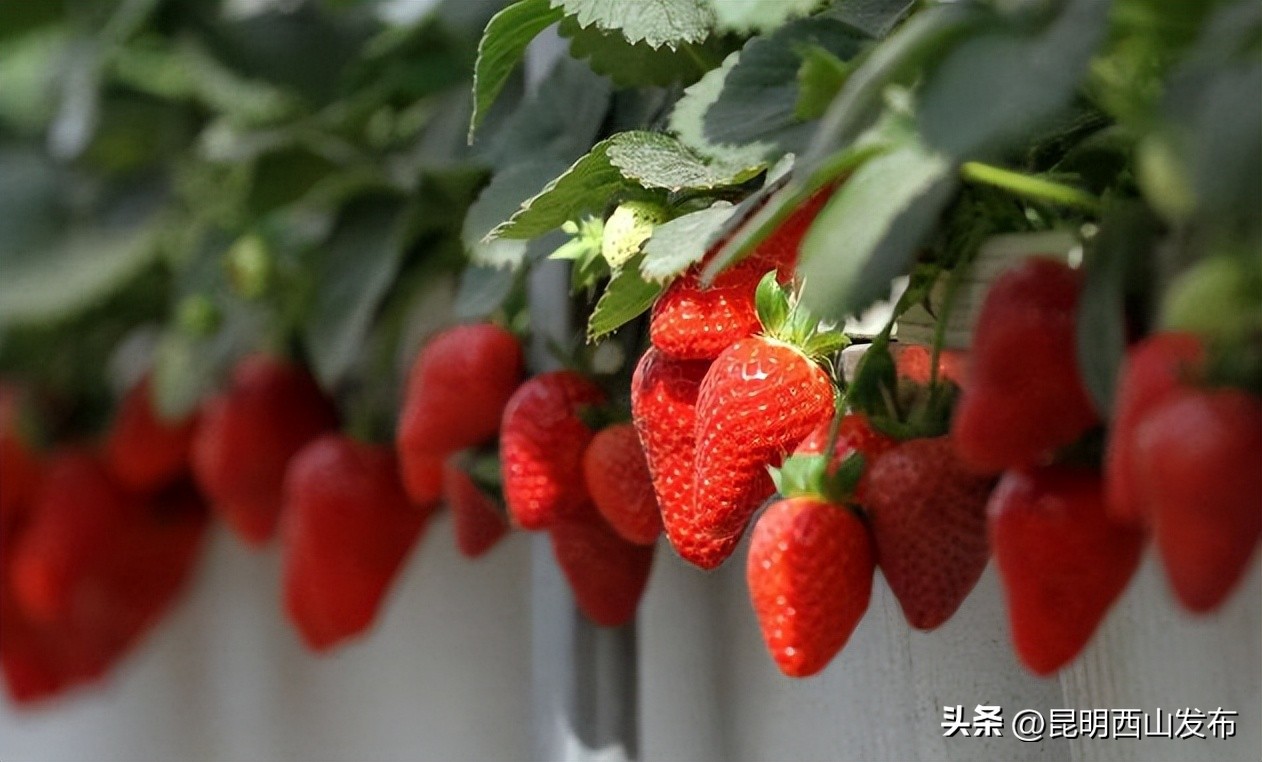 西山区5个经济示范区,太原西山区示范区