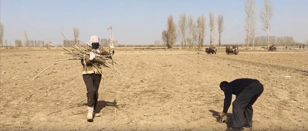 赶在下映前看电影,赶在上班之前去看场电影