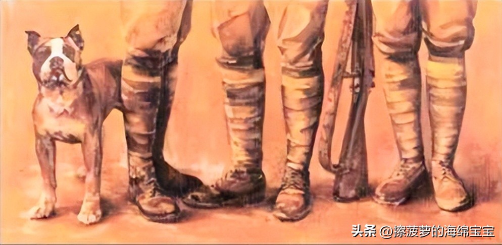 二战军犬传奇故事,一战斯塔比原型事件