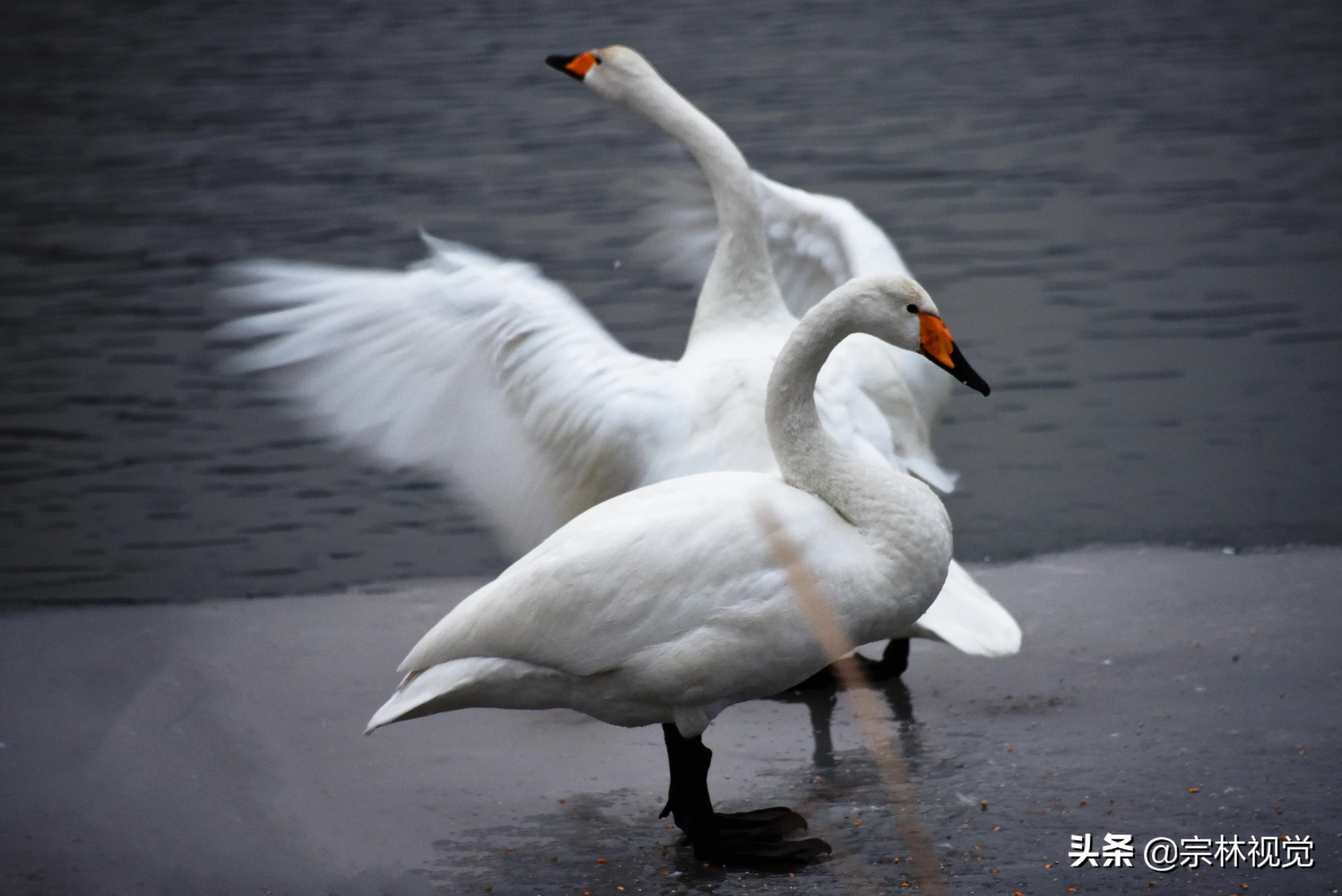 快40岁了留住岁月痕迹,留住岁月芳华