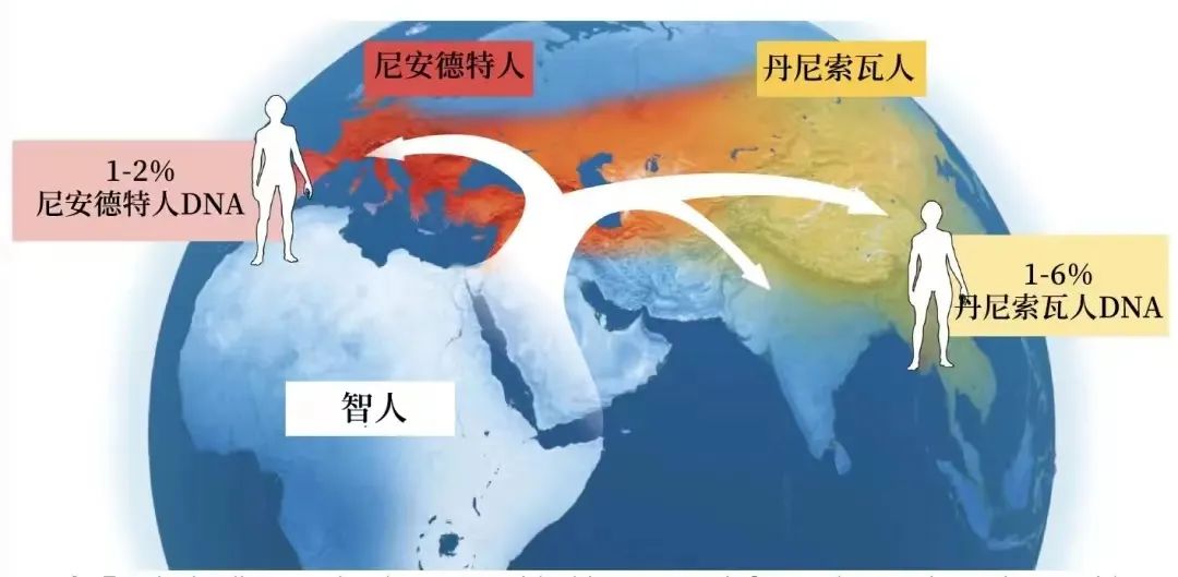 从诺贝尔奖看精神,诺奖得主的学习方法