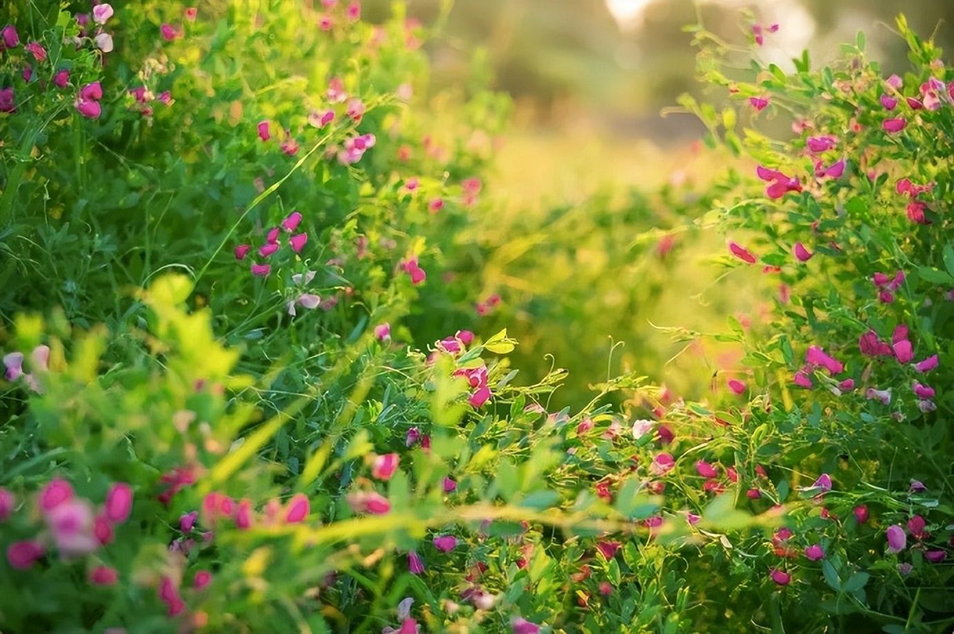 最理想的婚姻状态:男人赚钱养家,女人管钱持家