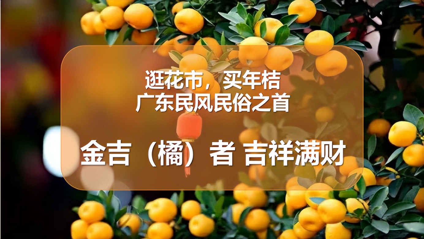 妗斿瓙椁愬巺鏂板搧,椁愰ギ搴楅潰鍗囩骇鍝佺墝