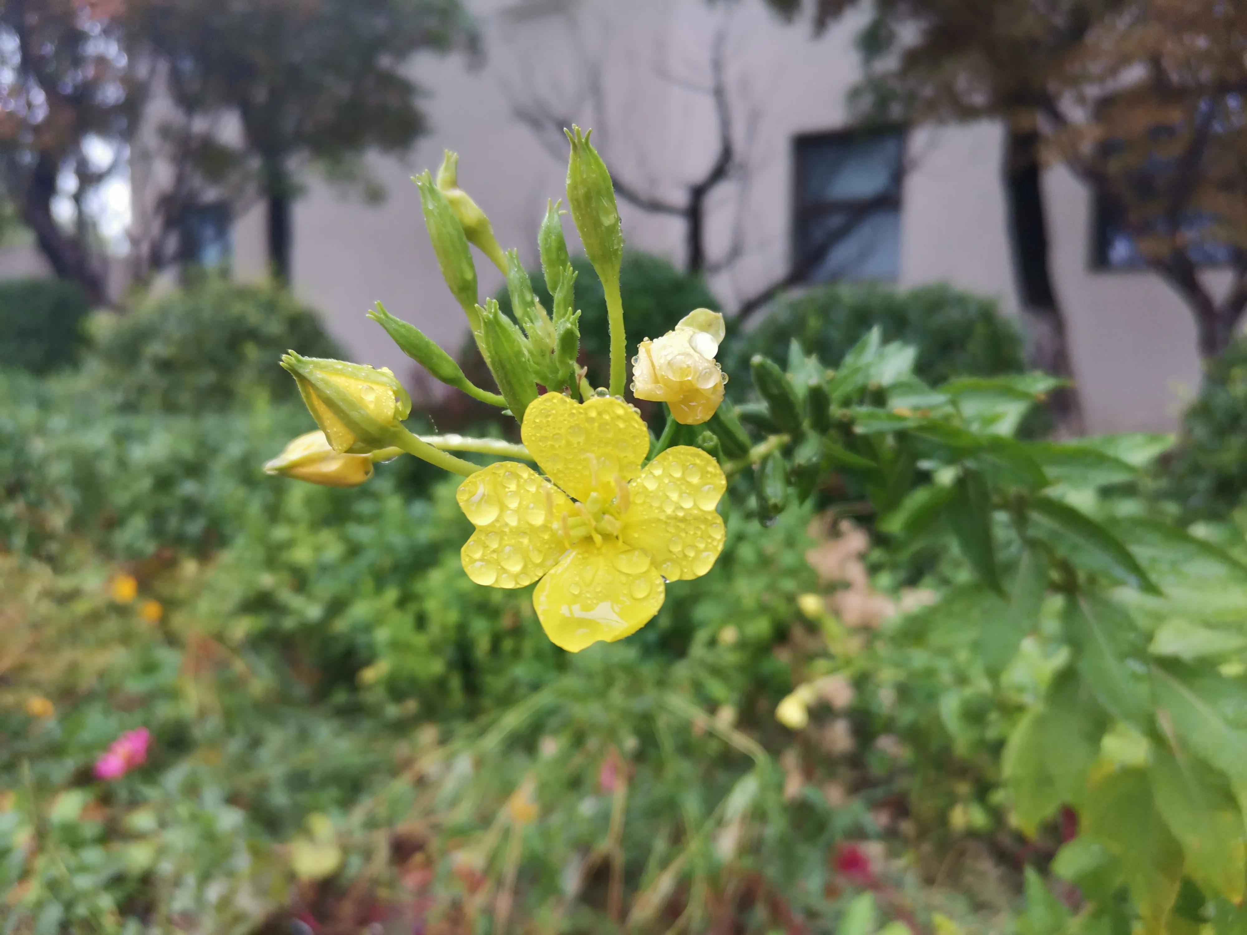 秋雨绵绵凉意浓浓,秋雨绵绵雾茫茫