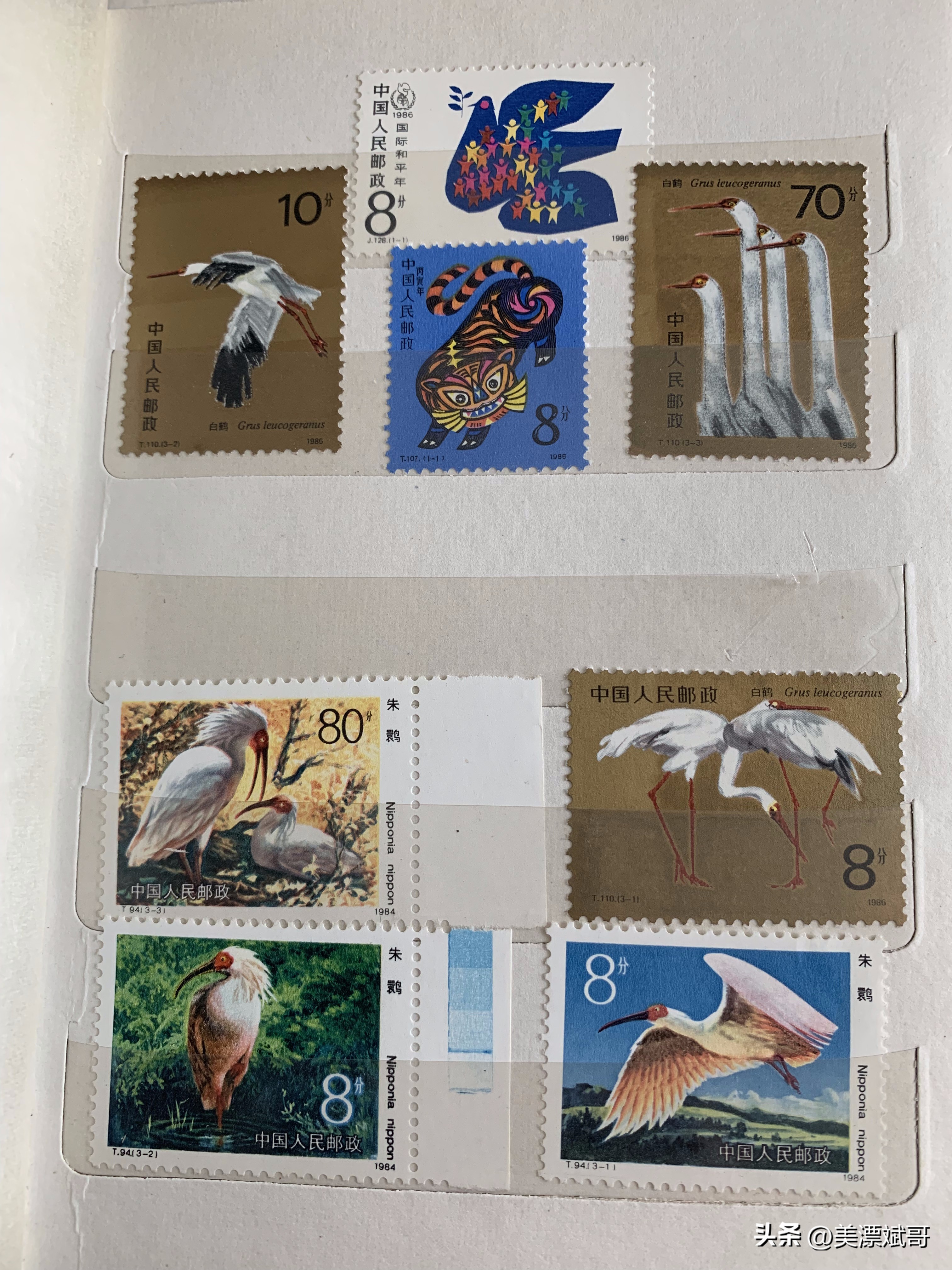 海淘购买开箱,海淘快递盲盒