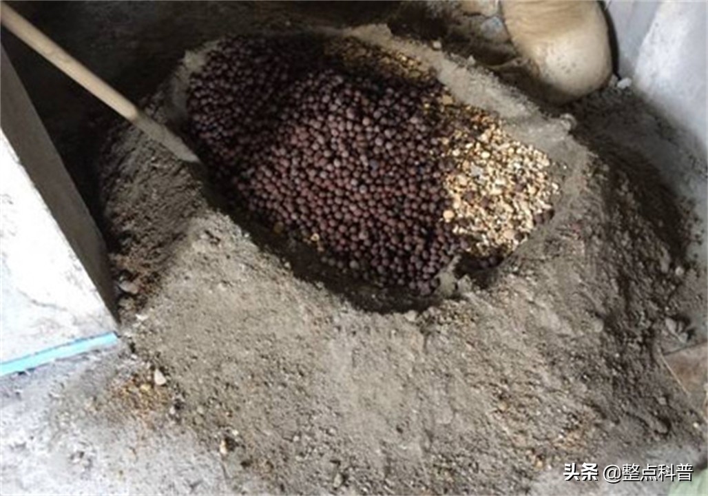 为什么工人往水泥加糖,白糖能阻止水泥硬化这是真的吗