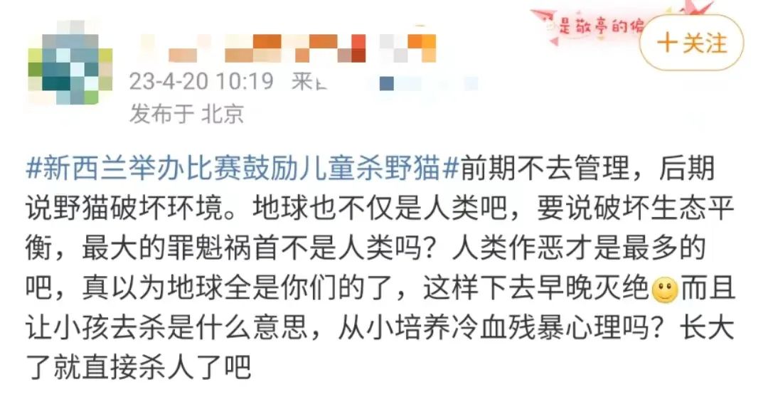 某地办比赛鼓励儿童猎杀野猫？！主办方：杀猫最多的奖励1000元！