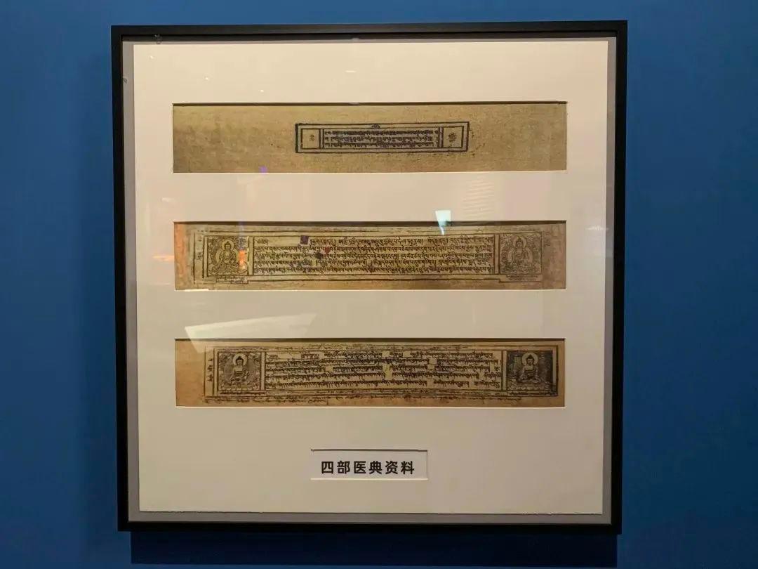 零基础中医藏象学说,中医藏象学说全归纳