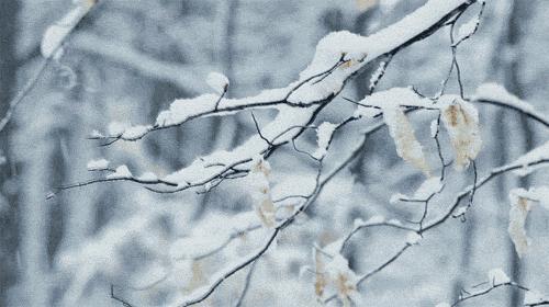 回眸岁月，慢步风雪中