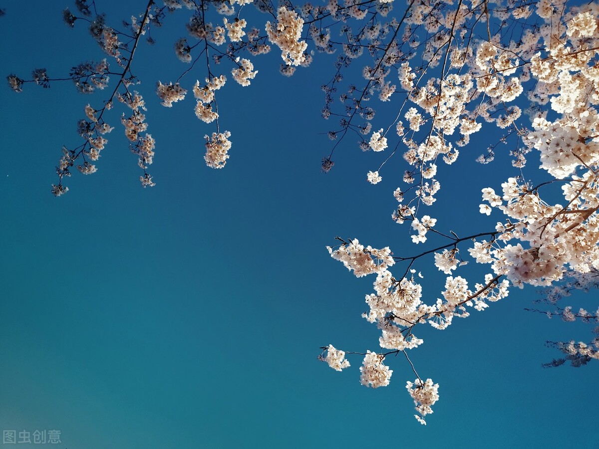 让自己变得强大的12个建议,让自己强大起来的20件事