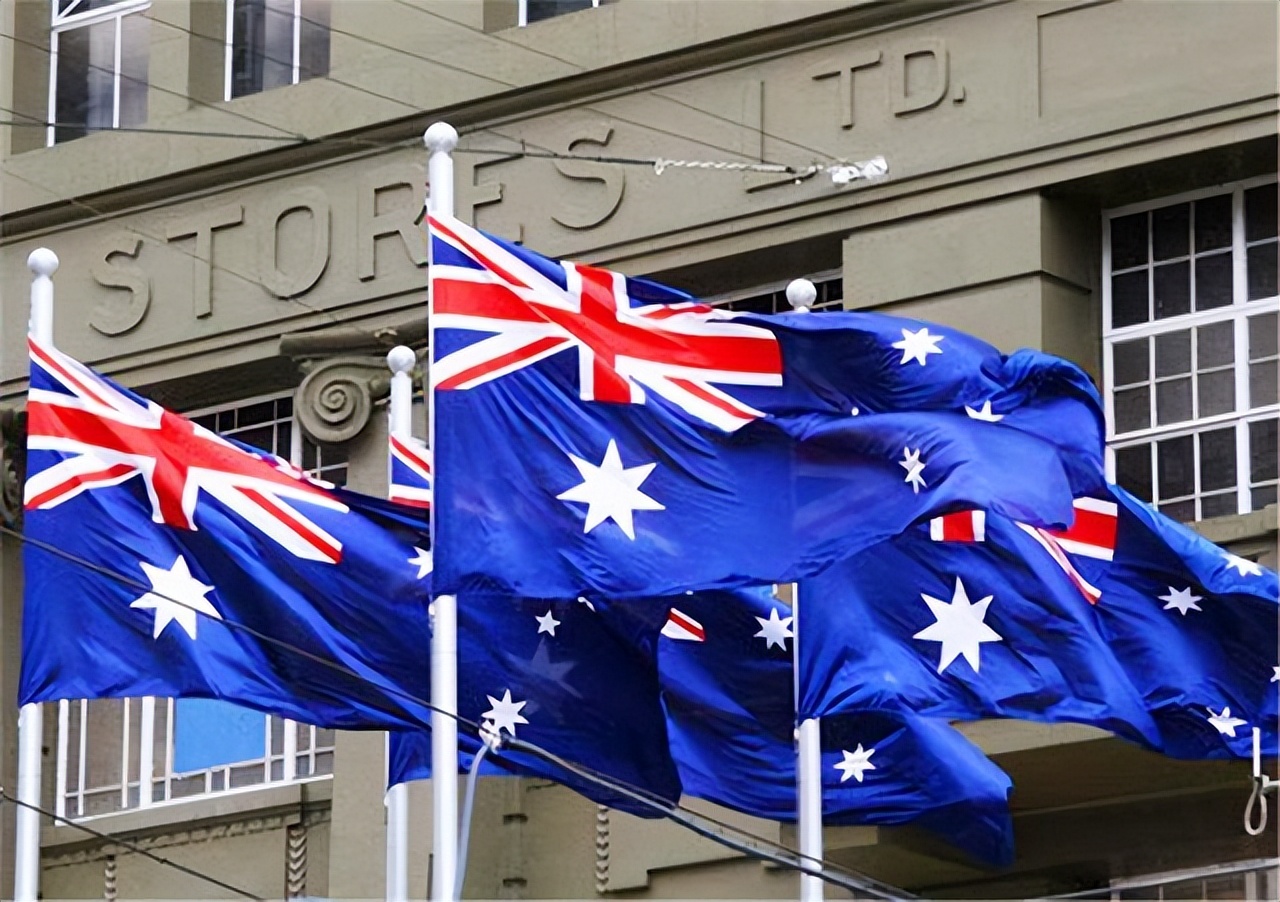 澳大利亚野兔泛滥成灾体重近百斤,澳大利亚野兔成灾野兔上百斤