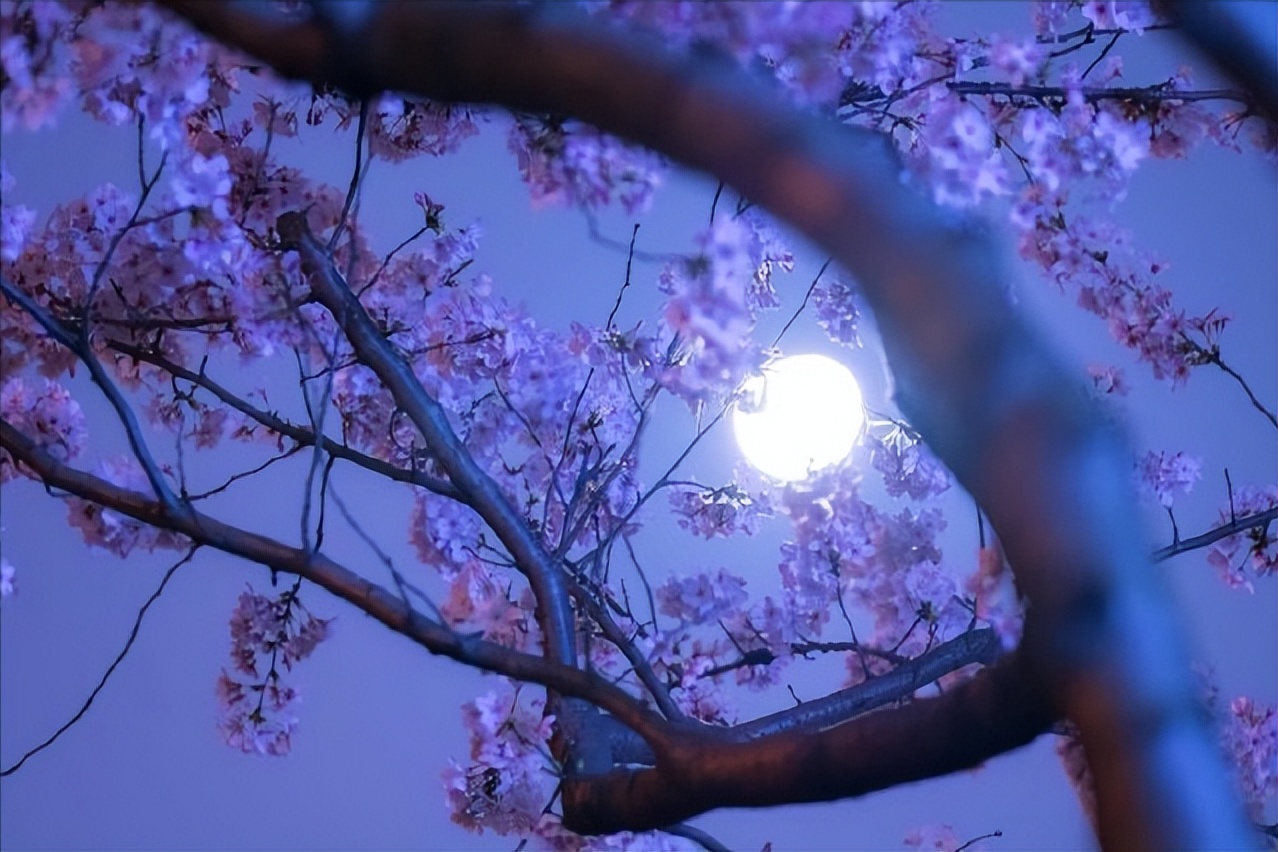 描写春月的七绝诗,关于春月的古诗词名句