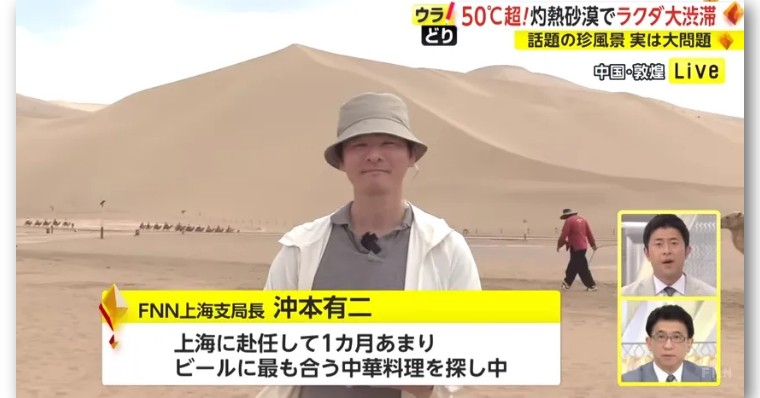 日本记者敦煌堵骆驼,日本记者直播连线冰墩墩