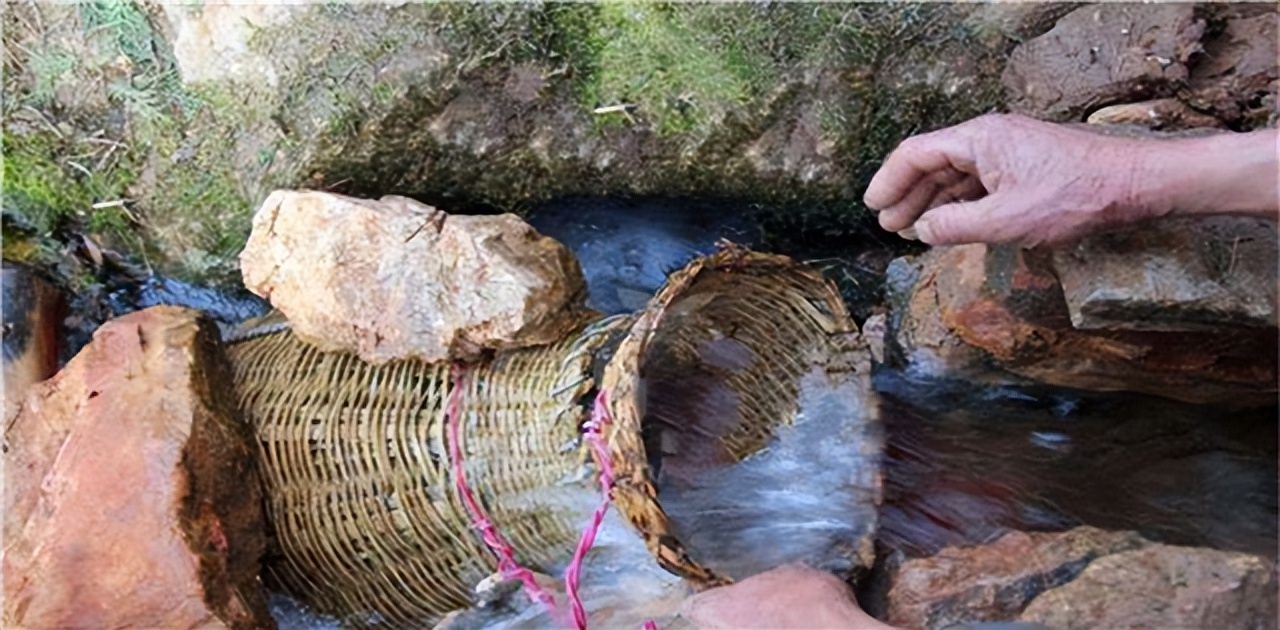湖北一山洞吐鱼视频,湖北一山洞每年吐鱼