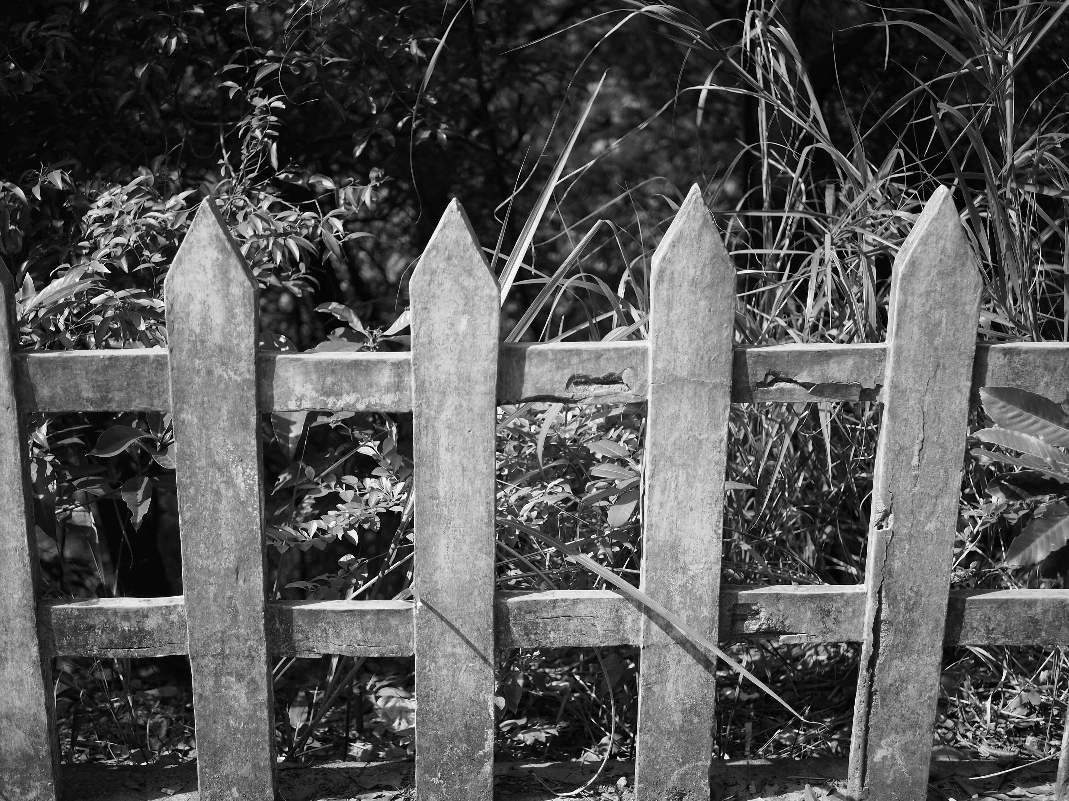 松下25mmF1.7样张赏析，看看画质、锐度如何？