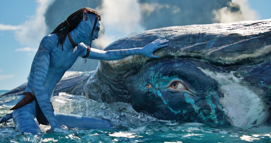 阿凡达2讽刺日本捕鲸船照片,阿凡达2讽刺日本捕鲸镜头