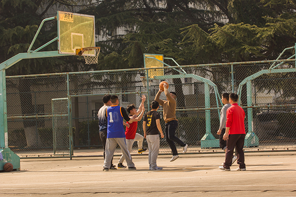 打篮球猝死是什么原因造成的,男子打篮球猝死旁边人有责任吗