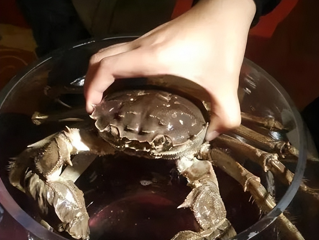 阳澄湖大闸蟹凭什么卖那么贵,阳澄湖每年能产多少只大闸蟹