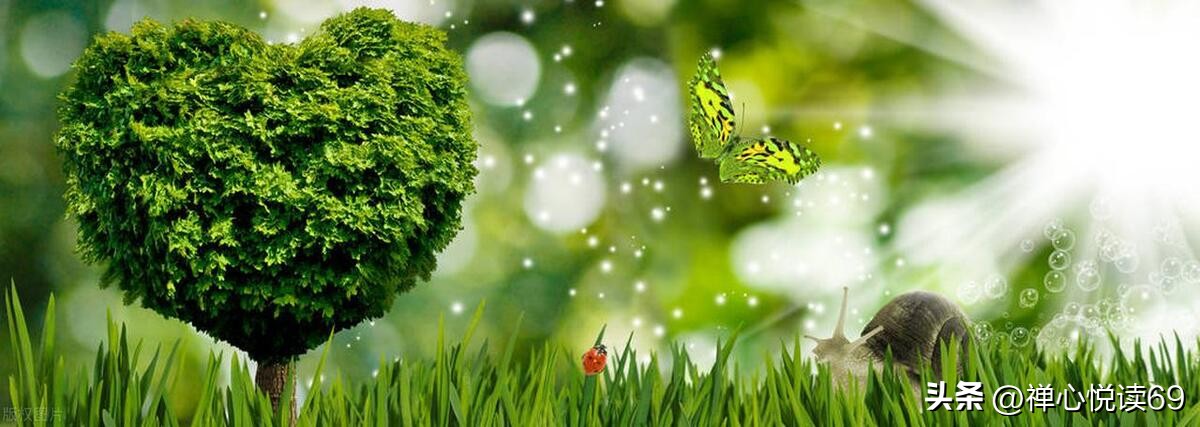 职业不分高低贵贱视频,职业不分高低每一种都值得被尊重