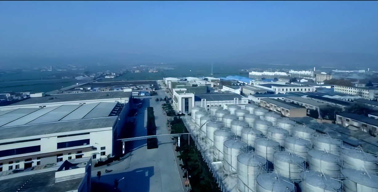 从大明宫到大酒海,西凤375酒经销商大会跨越千年的沉浸式体验