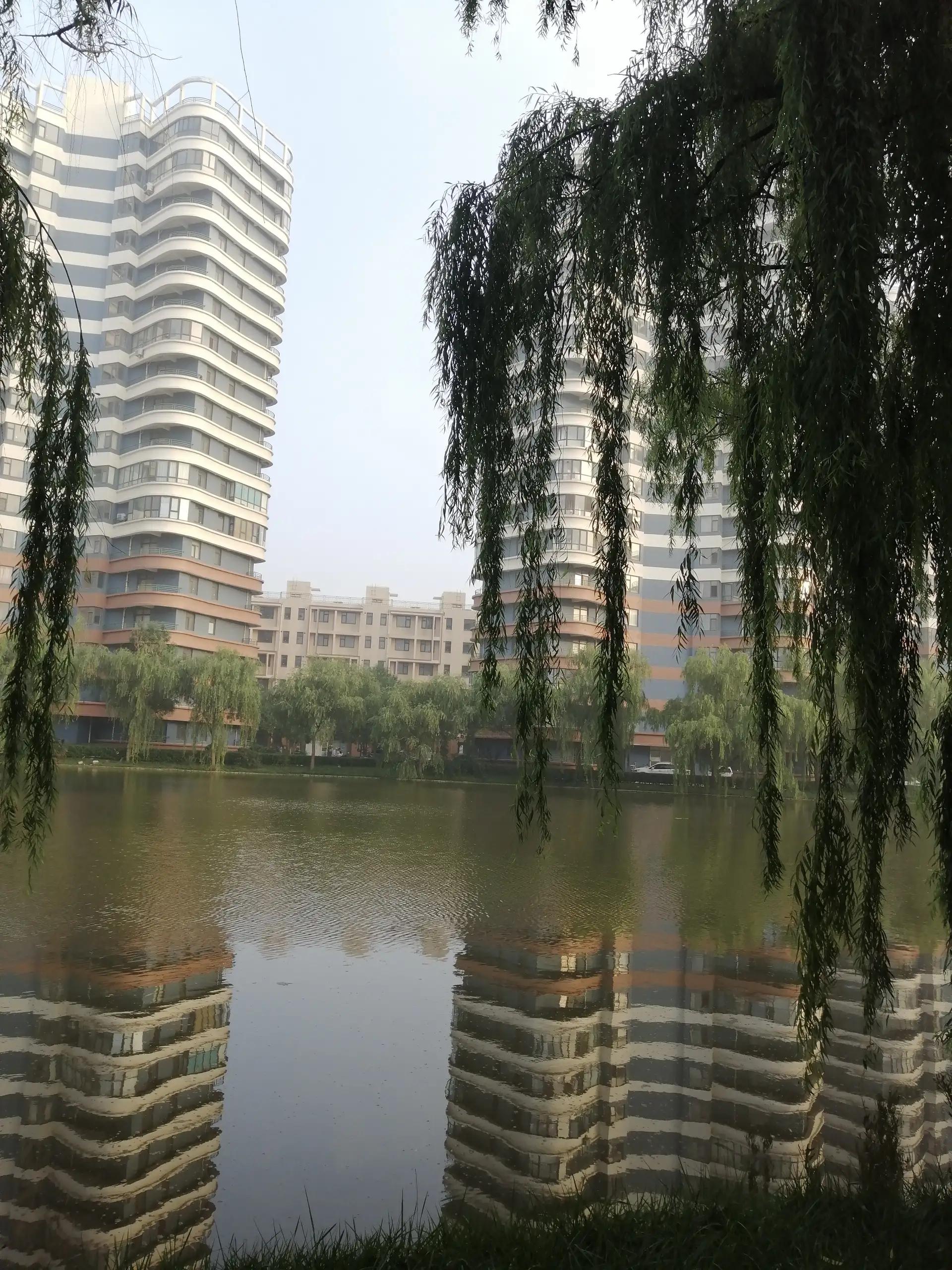 龙口东海度假区十大高档小区排名,龙口东海度假区到烟台有多少公里