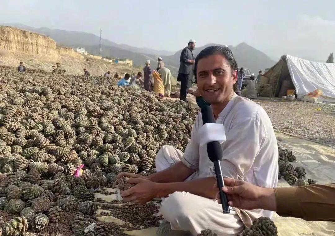 中企助阿富汗致富成功,开铜矿,搞农业,农民半年赚了上千万