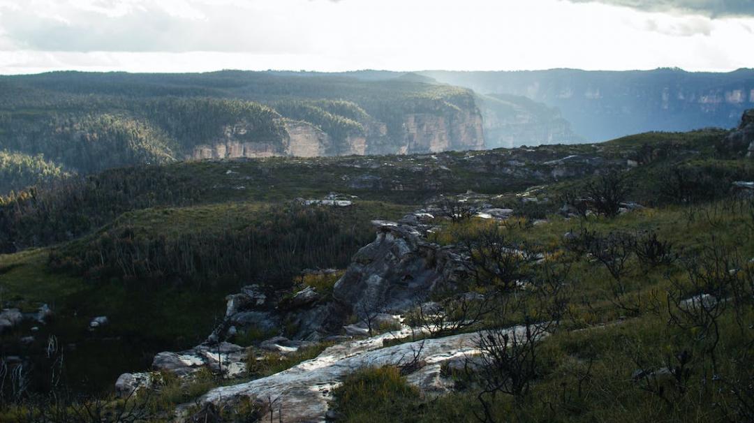 好文分享的英文,好文分享创作的原声