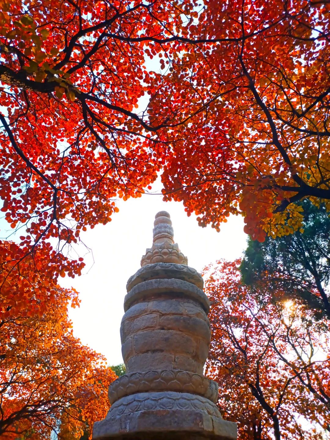 临朐小城,潍坊的临朐县