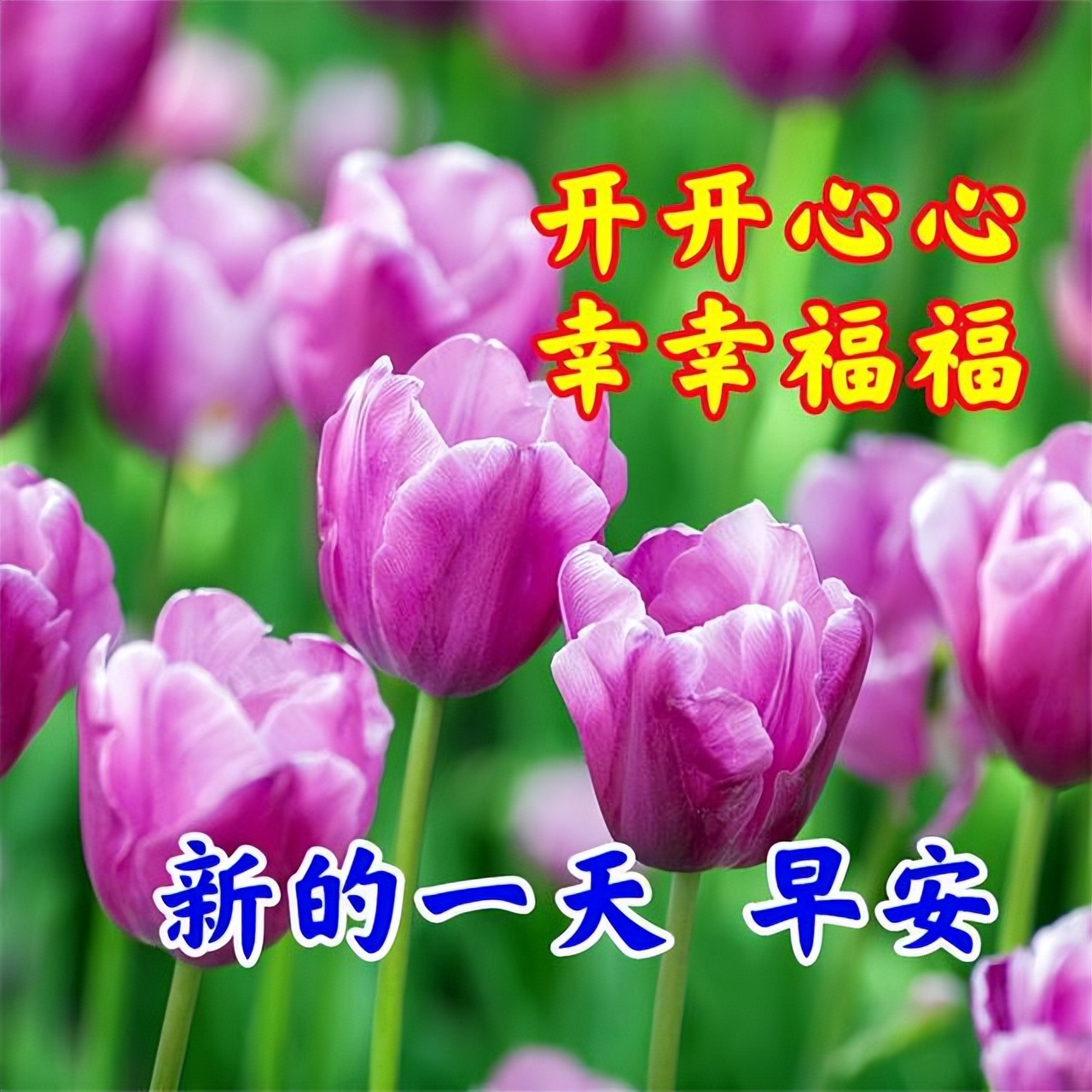 清晨太阳早安心语,早上好充满希望的一天