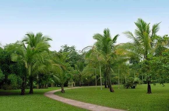 云南西双版纳旅游攻略app,云南西双版纳旅游攻略自由行12月