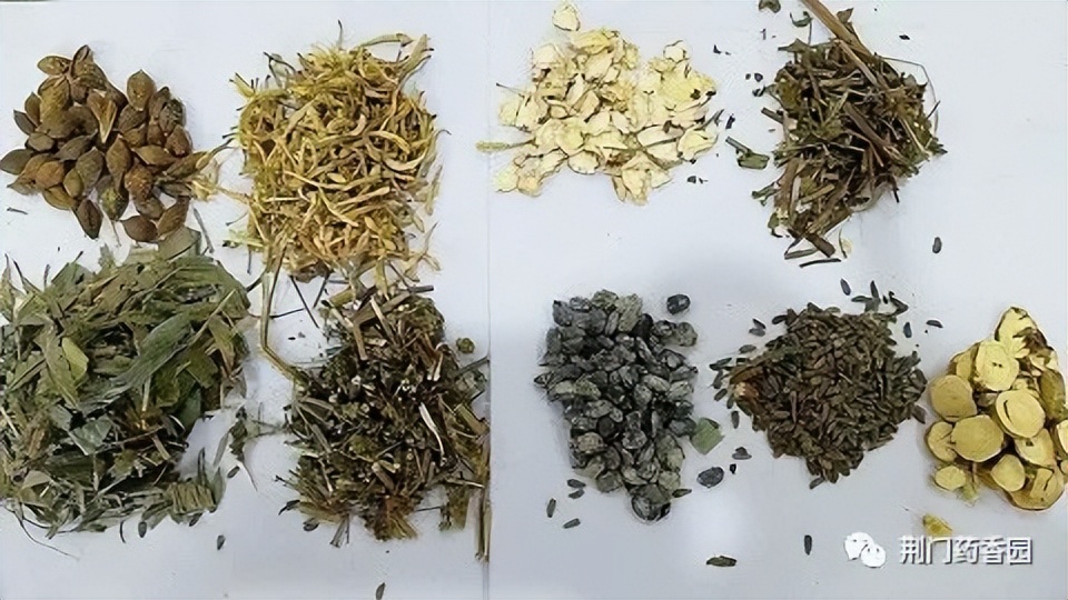 银翘散有什么功效,银翘散和玉屏风散