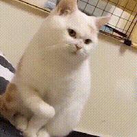 皮肤可以用的洗衣消毒液,洗衣液用的太多会导致皮痒吗