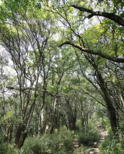 梵净山陡不陡,梵净山下山最陡峭的地方