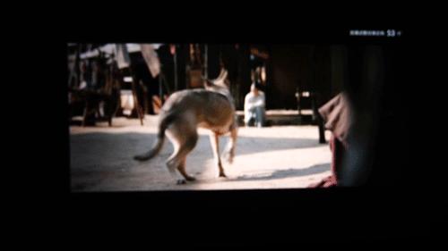 小明q1pro投影仪和米家投影仪,小明q1pro和极米newz6x投影仪哪个好