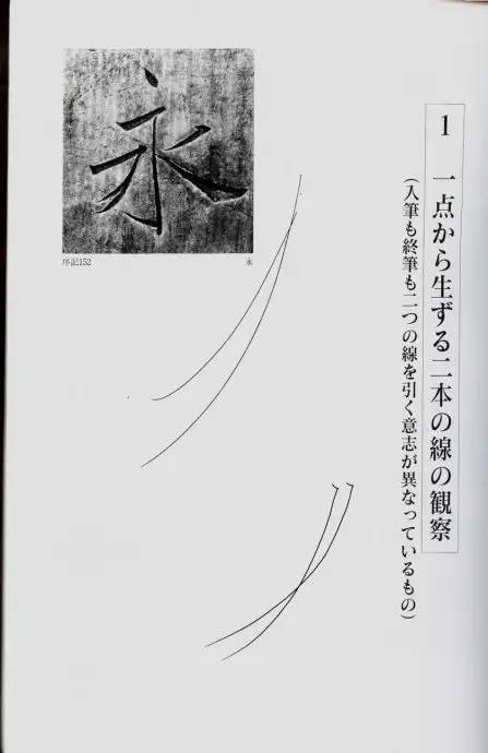 宸ョ瑪鐢绘潹鏅箟鐢诲唽,鏉滈箖鏉ㄦ櫘涔夊畬鏁寸増