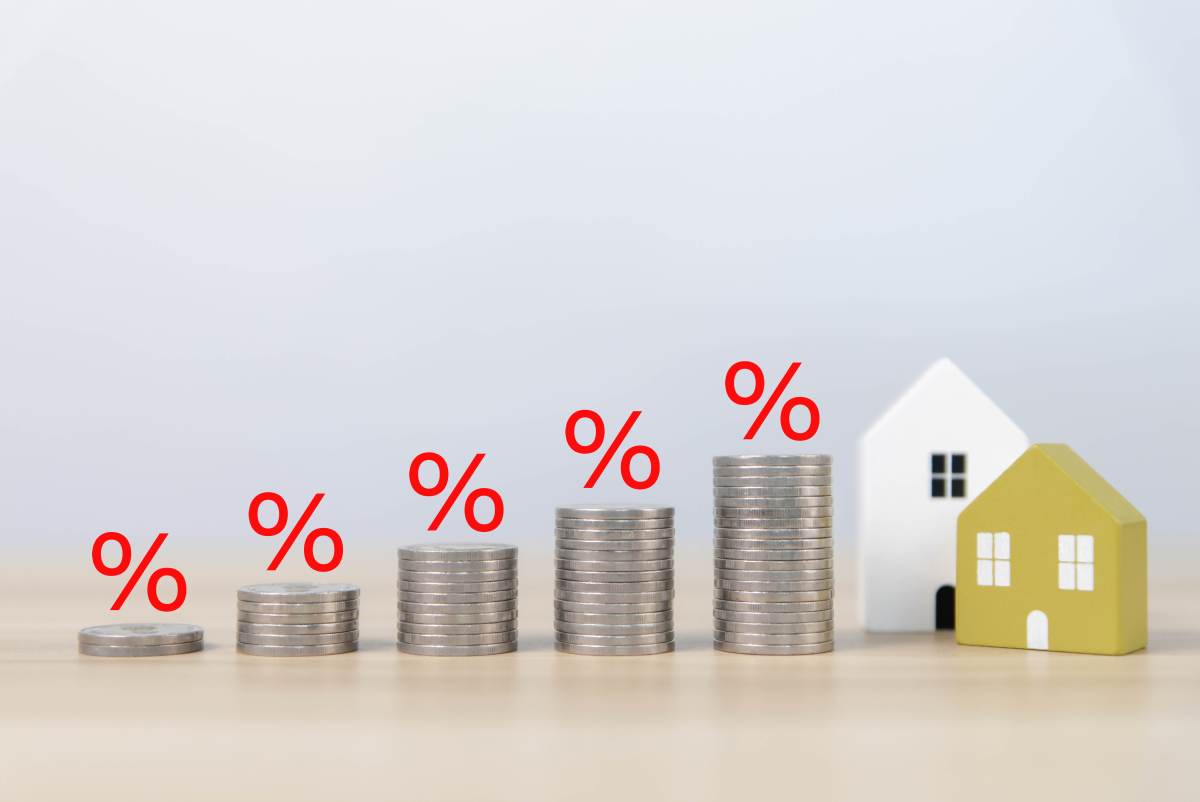 分期付款怎么算的利息,分期付款应该怎么算全款