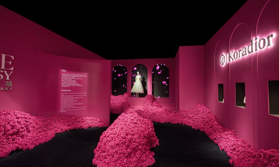 女装品牌抖音运营分析,女装去哪里选品牌好看呢