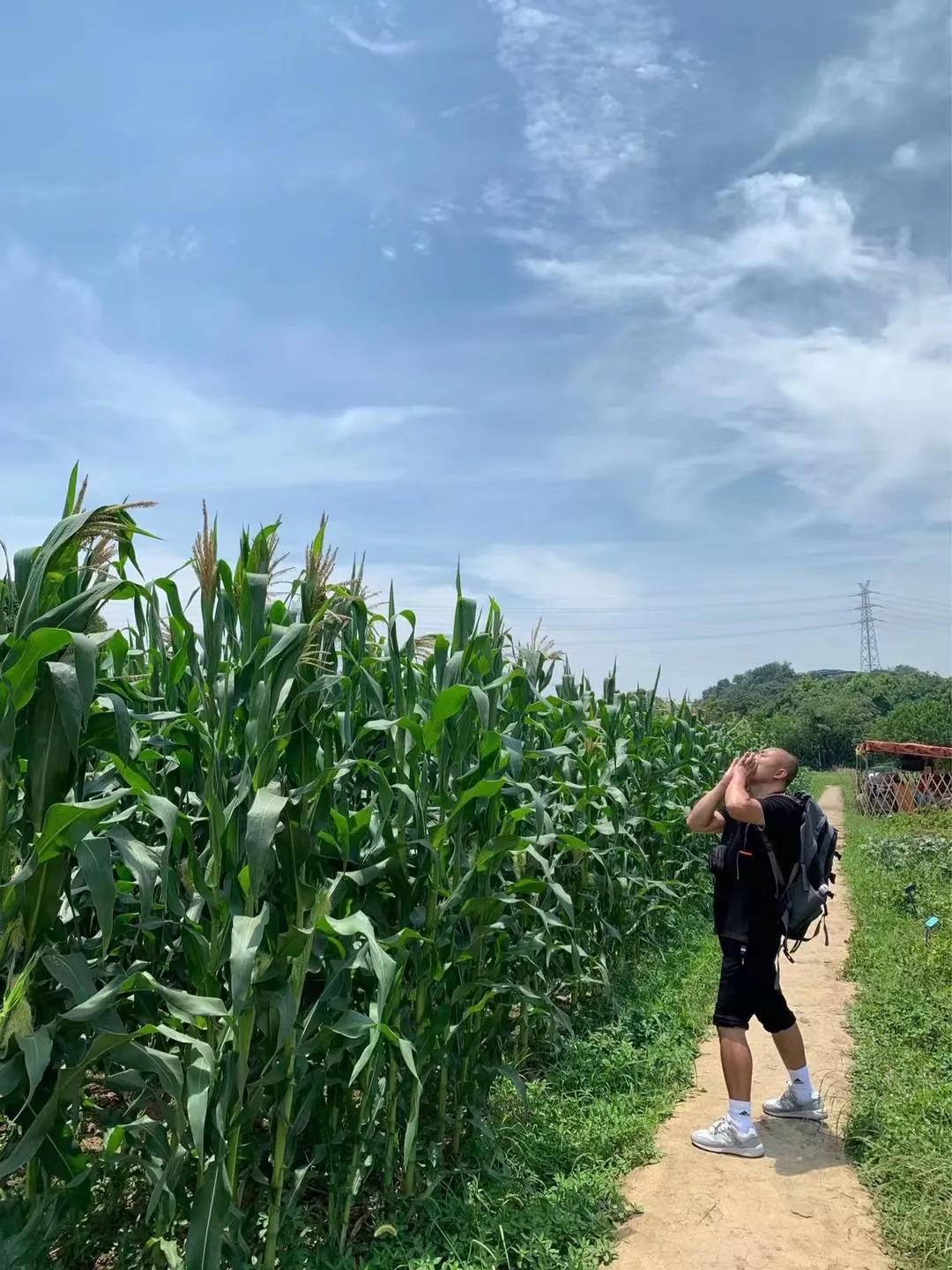 杭州八卦田遗址规划,杭州八卦田遗址公园有什么可以玩