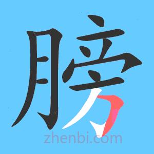 科普冷知识，知道多了，嘿！腰也不疼了，腿也不抽了整个人都爽了