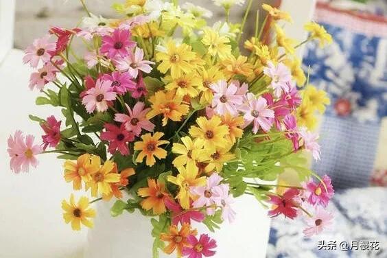 早安文案励志正能量简短文案,早安文案短句