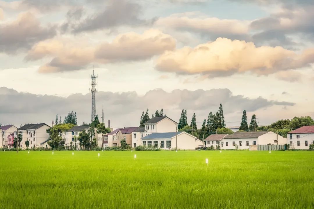 魔都春季游玩,魔都6月游玩地合集