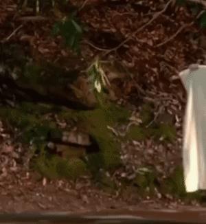 “无意中在女同事车上发现的，这是用来干嘛的？”网友们内涵了